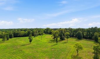 115355 115353 CR 2501, Alto, TX 75925