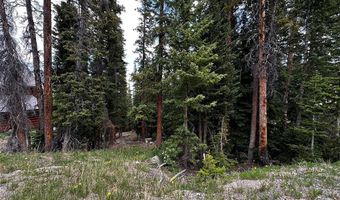 584 Camron Ln Lot 6, Breckenridge, CO 80424