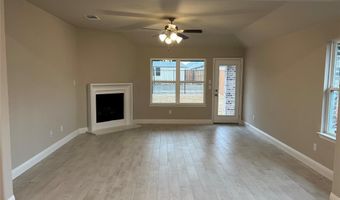 317 Tartane Dr, Anna, TX 75409