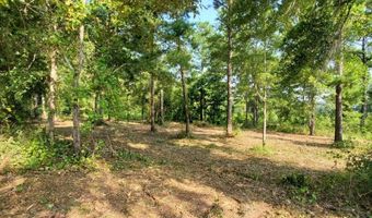 Lot 13 A Mountain View way 13 A, Bainbridge, GA 39819