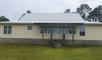 762 Old McLeod Brg, Adrian, GA 31002