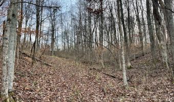 16749 Mush Run Rd, Athens, OH 45701