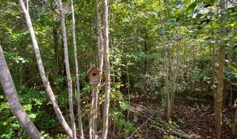 18 62 Ac Squirrell Hollow Rd, Alberta, VA 23821