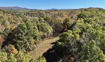 5557 Flat Mountain Rd, Alderson, WV 24910