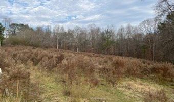 Julius Bridge Road, Ball Ground, GA 30107