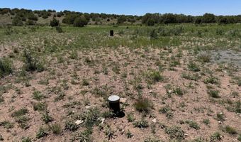 TBD Frontier Road, Chino Valley, AZ 86323