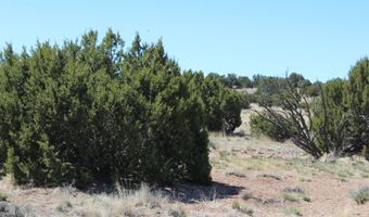 80 County Road 8620, Concho, AZ 85924
