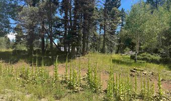 Calle de los Indios lot 73, Angel Fire, NM 87710