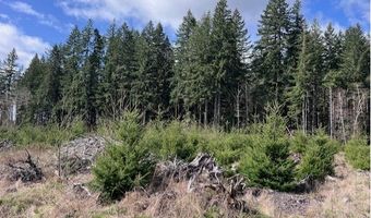 Northrup Creek Rd, Birkenfeld, OR 97016