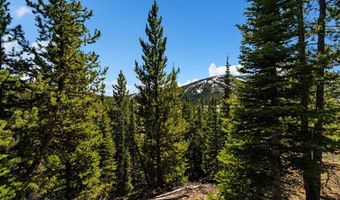 Washakie Road, Big Sky, MT 59716