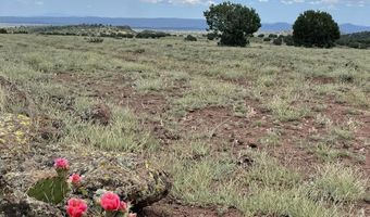 30222102 A W Dozer Ave, Ash Fork, AZ 86320