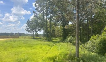0 CR-215, Ariton, AL 36311
