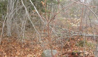 TBD Ole Farnham Road, Alfred, ME 04002
