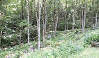 103 Chucks Ln, Bakersville, NC 28705