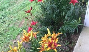 56235 Weyerhauser Rd, Bethel, OK 74724