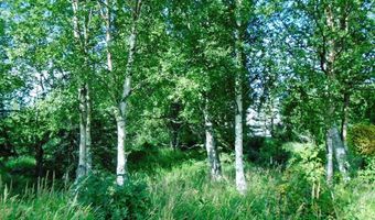 Lot 2 Greece Drive, Anchorage, AK 99516