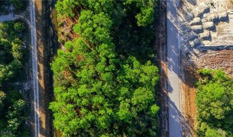 2428 Mabry St, Alva, FL 33920