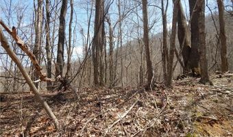 Gentry Farm Road, Aurora, NC 28743