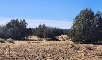 251 Se4 Juniperwood Rnch, Ash Fork, AZ 86320