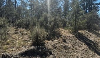 Jaguar Lane lot 3, Bonanza, OR 97623