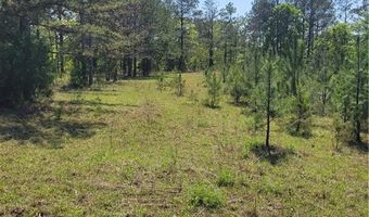601 HERBERT BROWN Rd, Auburn, AL 36830