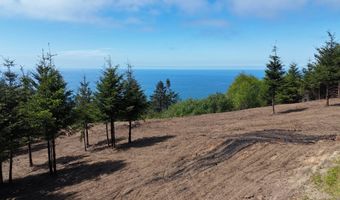 McVay Creek Rd TL310, Brookings, OR 97415