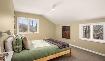 1036 Red Mountain Rd, Aspen, CO 81611