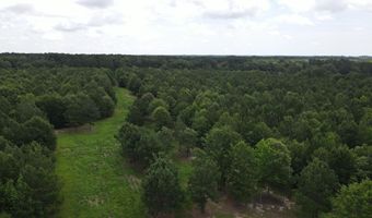 Reynolds Road, Barnwell, SC 29812