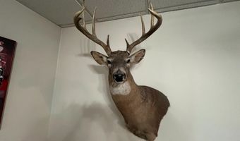 27450 SW 32nd Rd, Beatrice, NE 68319