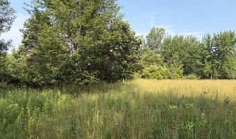 9653 52nd Ave, Allendale, MI 49401