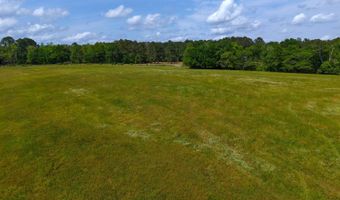 23826 Opine Rd, Andalusia, AL 36421