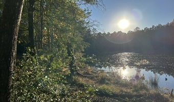 2423 Mill Creek Rd, Bethune, SC 29009