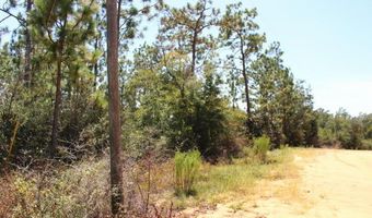 Sycamore Street, Alford, FL 32420