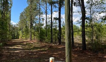 272 Church Camp Rd, Bishopville, SC 29010