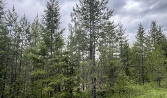 12 Acres Elizabeth Ln, Athol, ID 83801