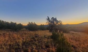 1 COUNTY ROAD N8155, Concho, AZ 85924