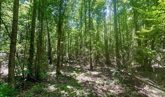 Williams Street, Brookhaven, MS 39601