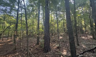 Norman Trail NW, Brookhaven, MS 39601