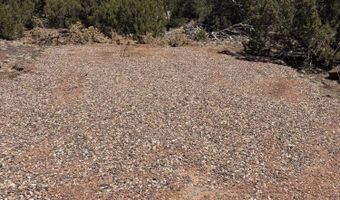26 Spruce Dr Rd # 8051, Concho, AZ 85924