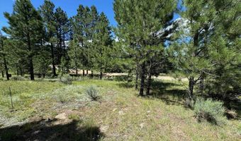 Lot 459 San Mateo, Angel Fire, NM 87710