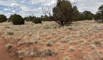 Tbd N5505, Concho, AZ 85924