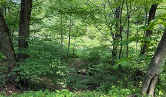 930 Osman Rd, Alum Bank, PA 15521