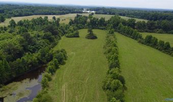 62 Jolley Ln, Albertville, AL 35950