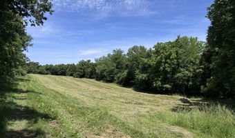9999 Cedarmore Rd, Bagdad, KY 40003