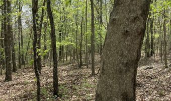 State Hwy N Tract G, Ava, MO 65608