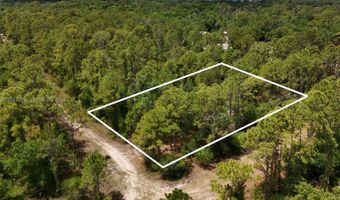 SW Nassau Ave, Arcadia, FL 34266