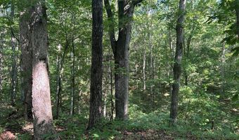 Reeves Road, Ashland, MS 38603