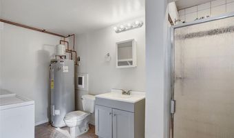 50 SINGLETON Rd, Alma, CO 80420