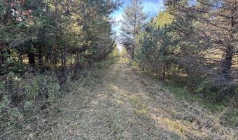 5280 Cathro Rd, Alpena, MI 49707