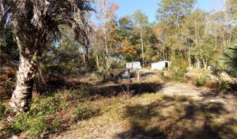 11090 107 Ter, Archer, FL 32618